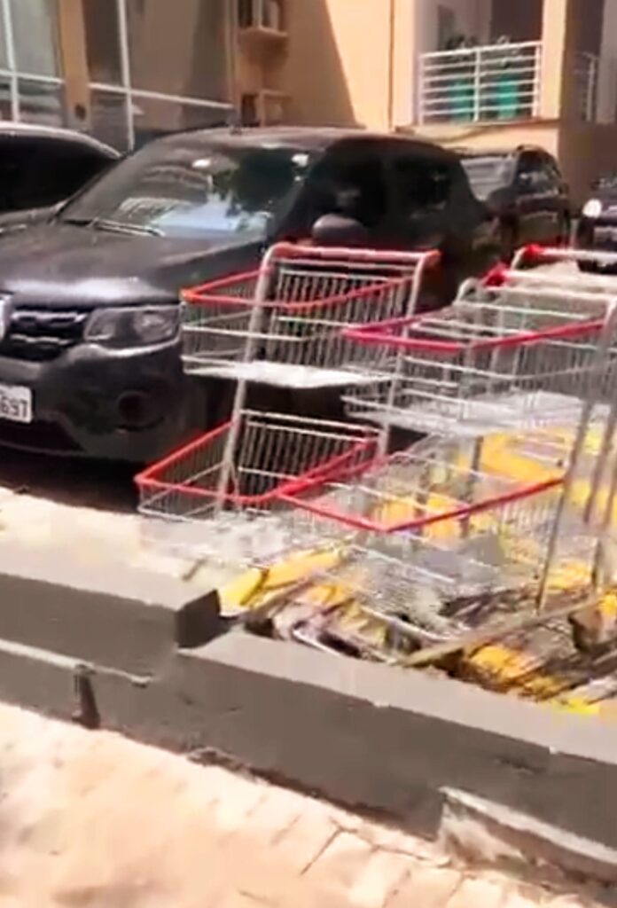 Imagem mostra carrinhos de supermercado largados em um estacionamento. Eles estão atrás de uma mureta