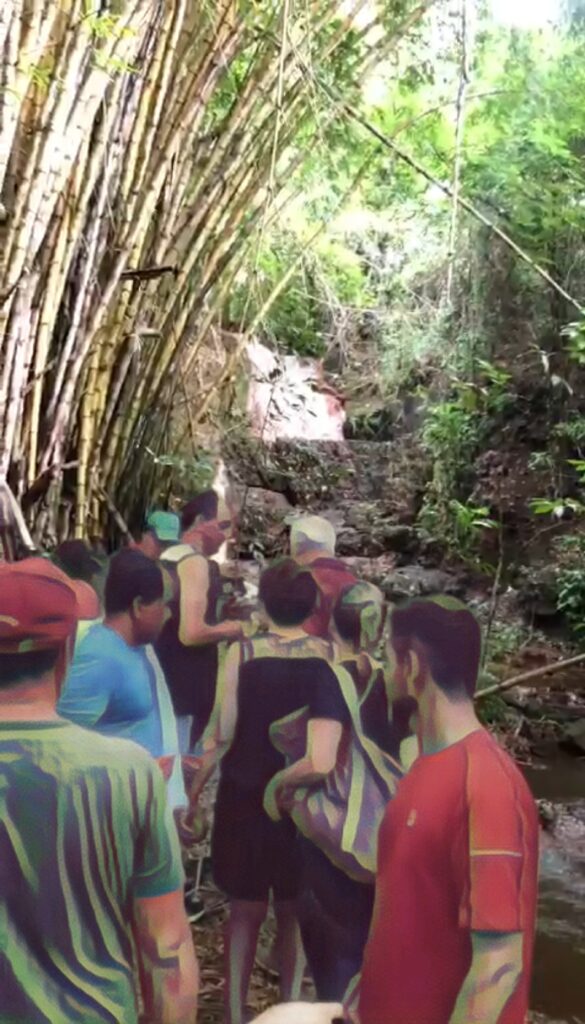 Imagem de um grupo de pessoas em uma trilha que leva à uma cachoeira. A trilha está rodeada de vegetação e pedras.