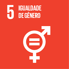 Imagem com fundo laranja escuro. Em letras brancas o número 5, a frase "igualdade de gênero" e um pictograma representando o masculino, o feminino e dentro o símbolo matemático de igual.